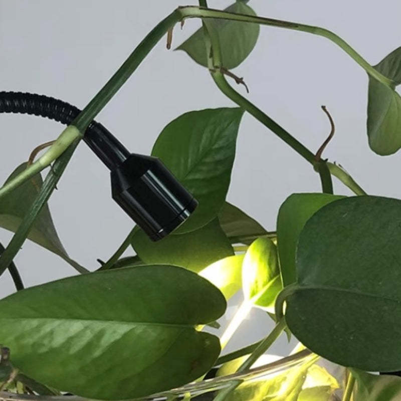 Greenery glass pendant light with plant. Las Sola lighting.