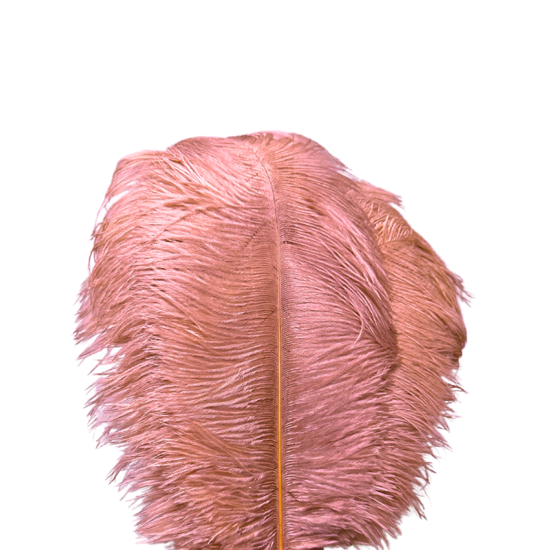 O'Moore Nordic Luxury Unique Ostrich Feather Floor Lamp/Table Lamp