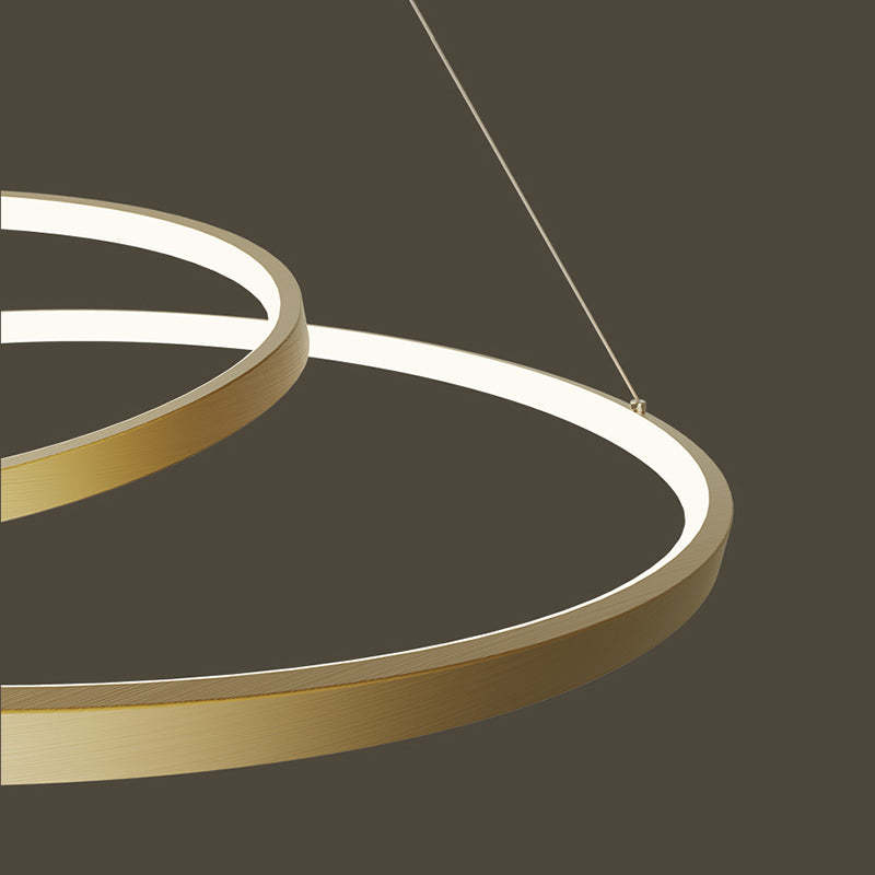 Arisha brass pendant light. Modern circle lighting.