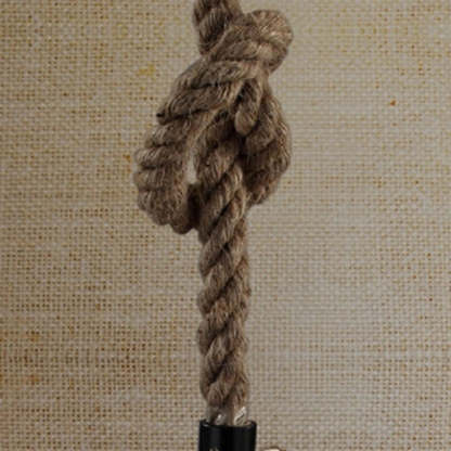 Close-up of Renée pendant light rope detail