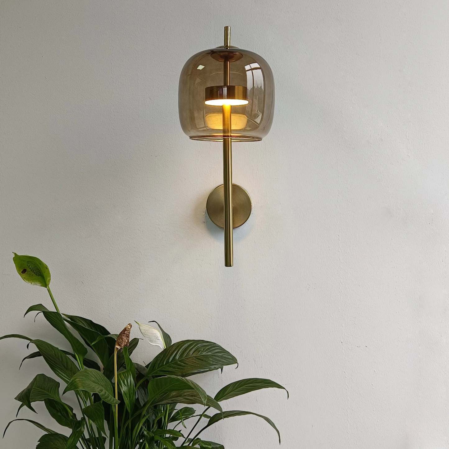 Modern wall lamp with amber glass shade and houseplant
