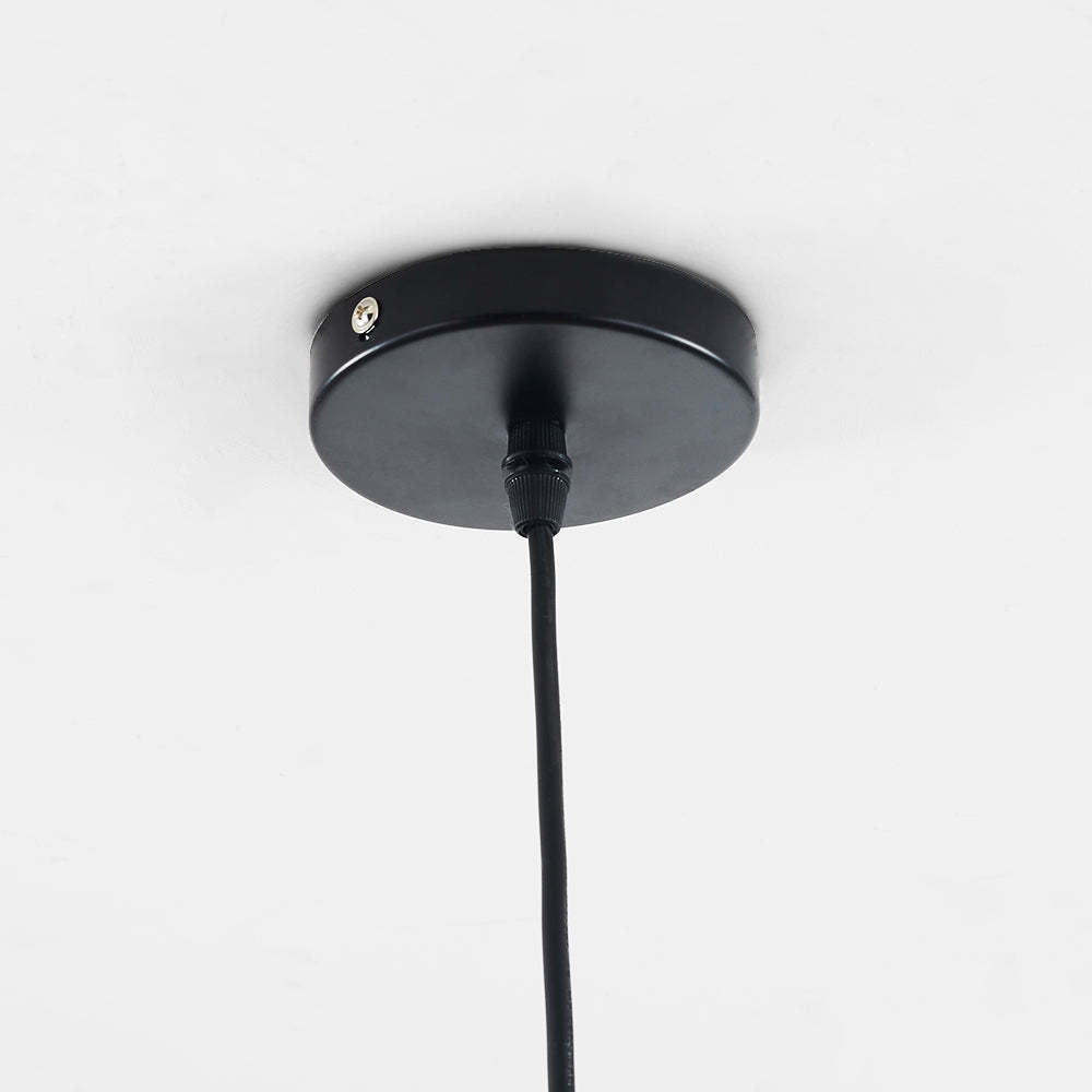 Morandi Pendant Light: Black ceiling mount
