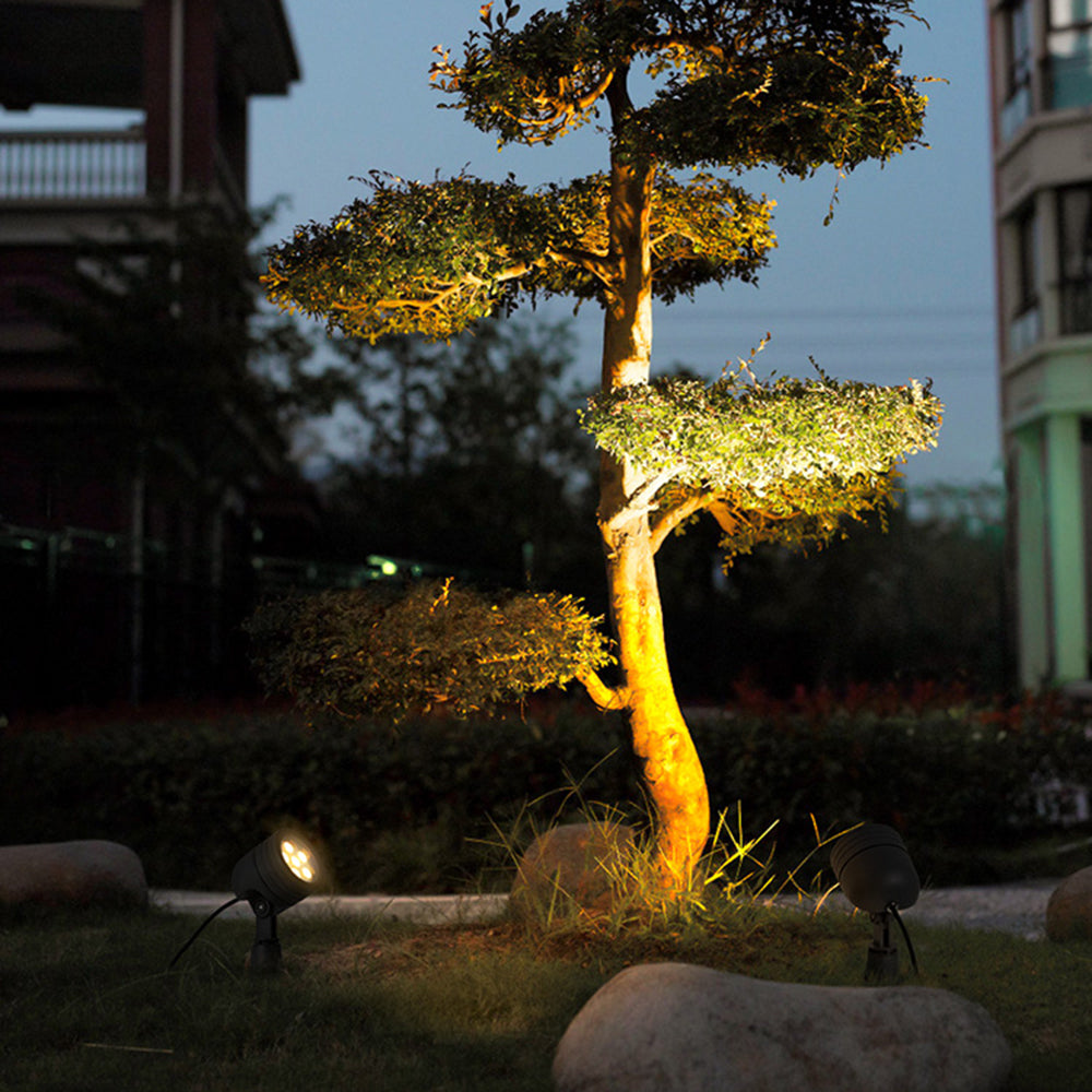 Outdoor spotlight illuminating a tree at night
