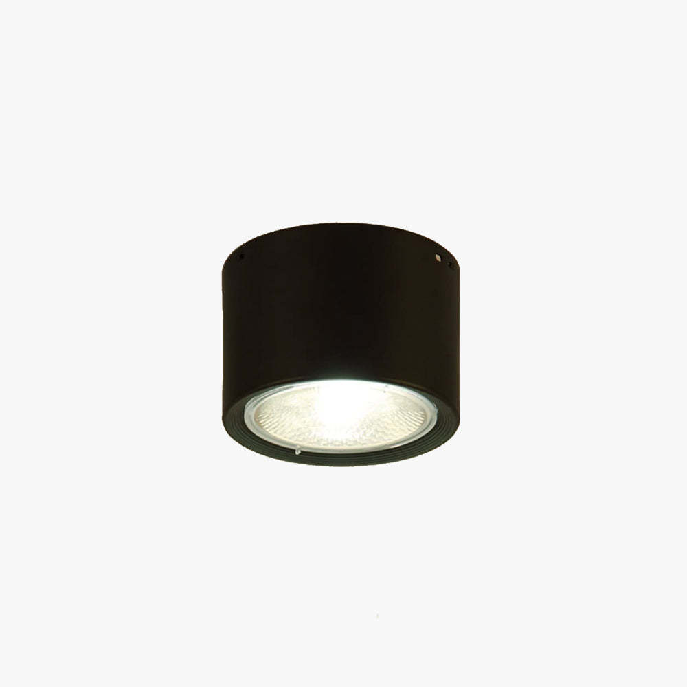 Ozawa Modern Round Flush Mount Ceiling Light in Black