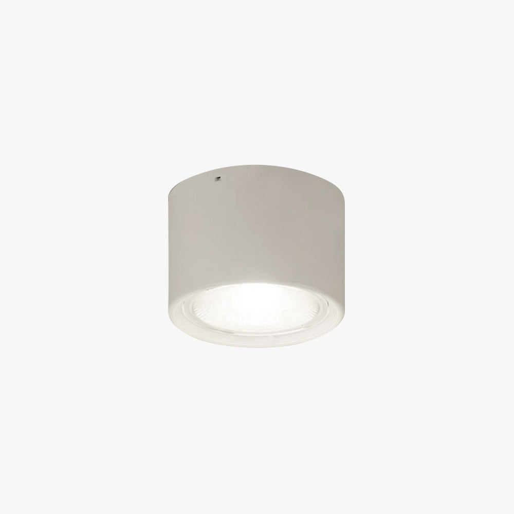 Ozawa Modern Round Flush Mount Ceiling Light
