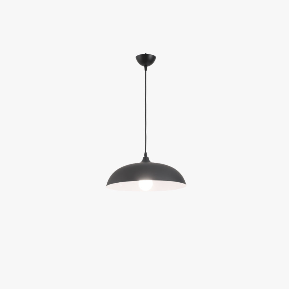 Morandi Metal Pendant Light - Black Dome