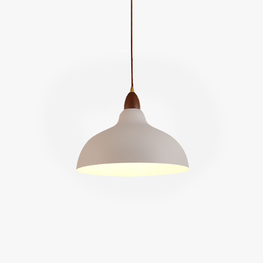 Morandi Modern Bowl-shaped Metal Pendant Light