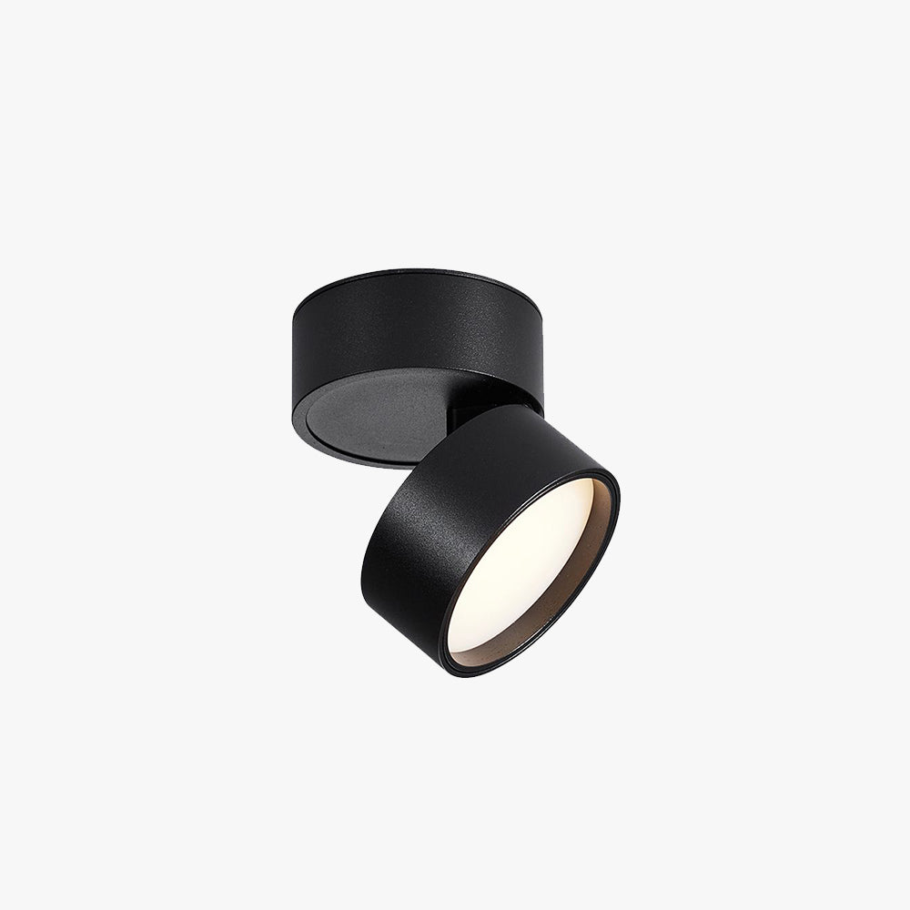 Novak Black Flush Mount Ceiling Light