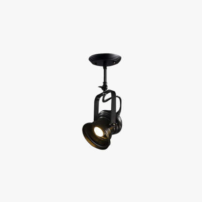 Alessio Industrial Ceiling Light