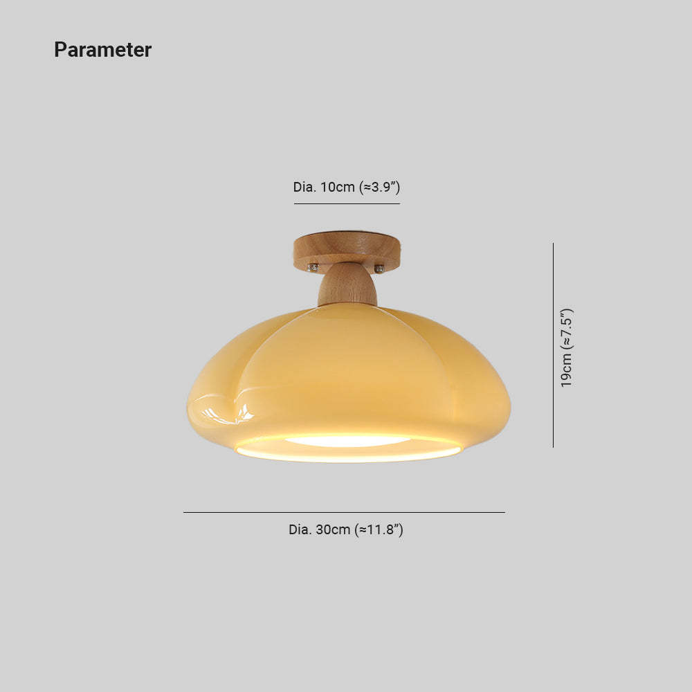 Hailie LED Ceiling Light - Dimensions and parameters