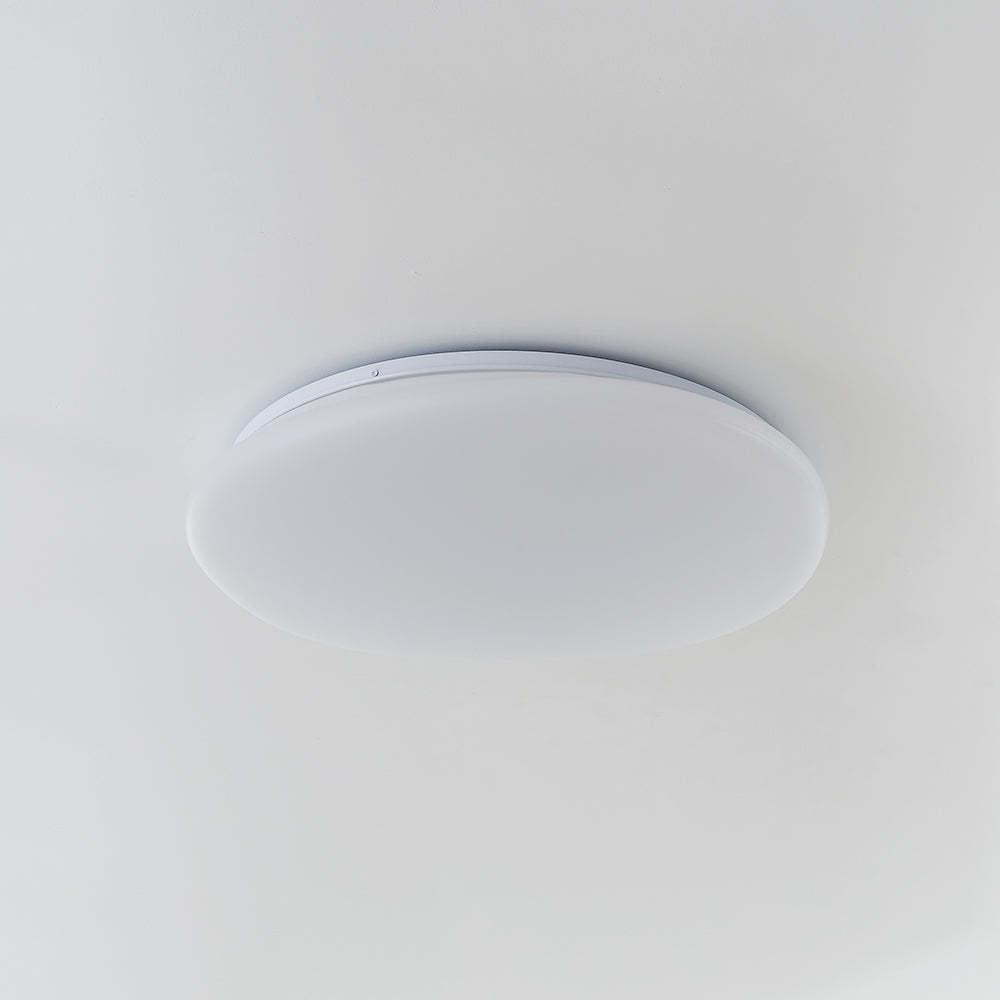 Quinn modern flush mount ceiling light