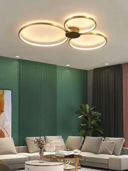 Quinn Modern LED Loop Metal Ceiling Light Living Room Bedroom