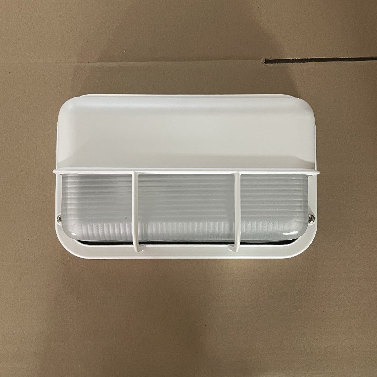 Orr Industrial Rectangle Outdoor Wall Lamp