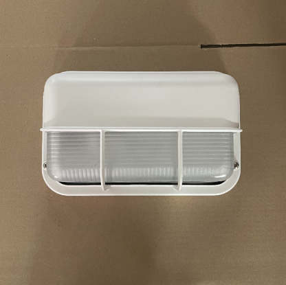 Orr Industrial Rectangle Outdoor Wall Lamp