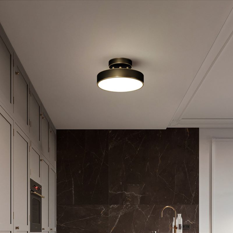 Modern flush mount ceiling light in living room