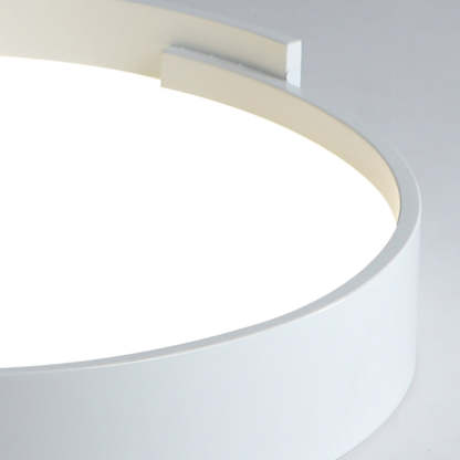 Quinn Modern Round Flush Mount Ceiling Light - Close-up detail
