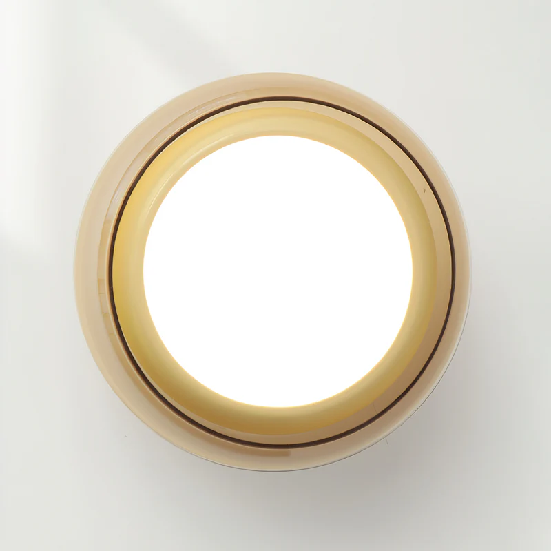 Hailie Retro Glass Flush Mount Ceiling Light