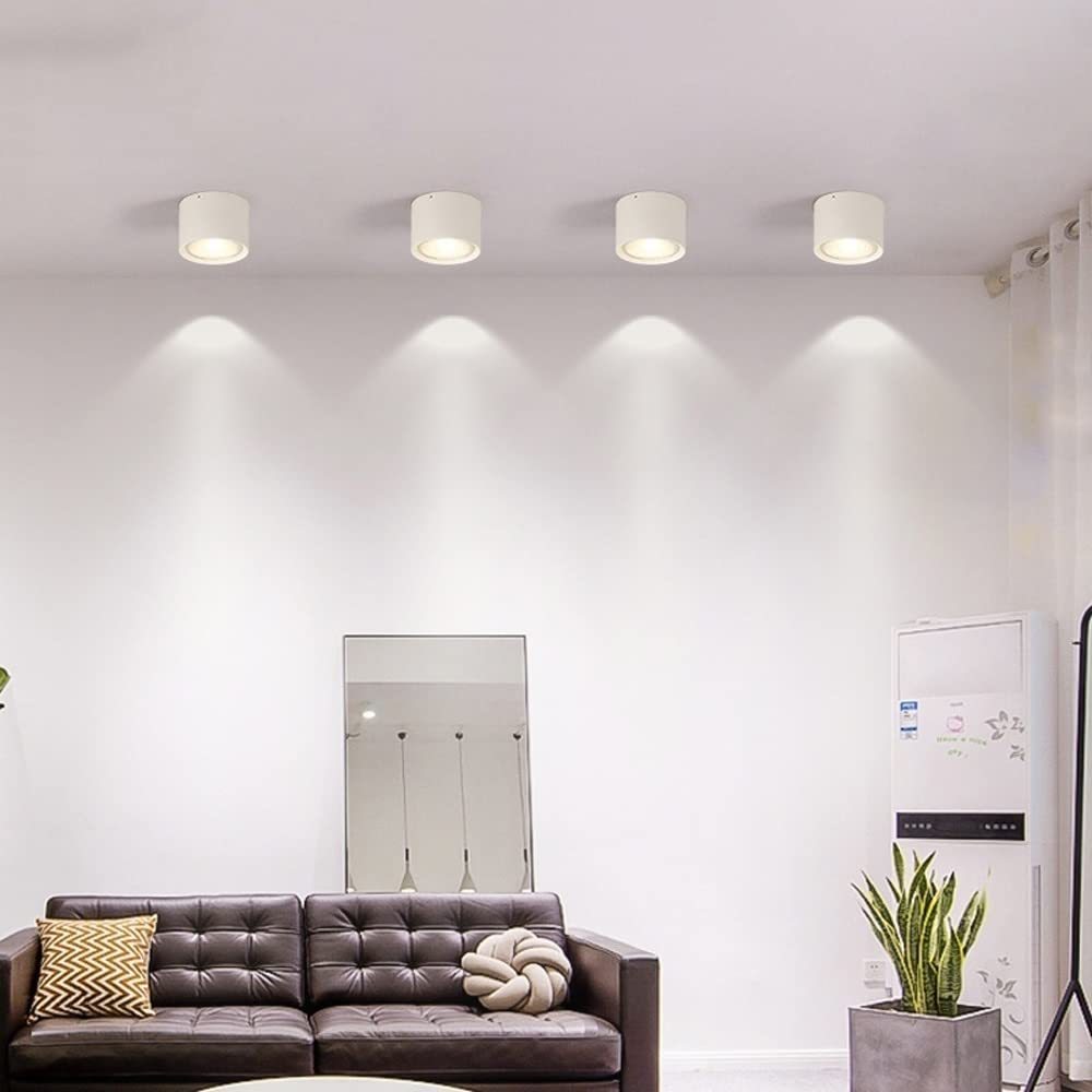 Ozawa flush mount ceiling lights in a living room