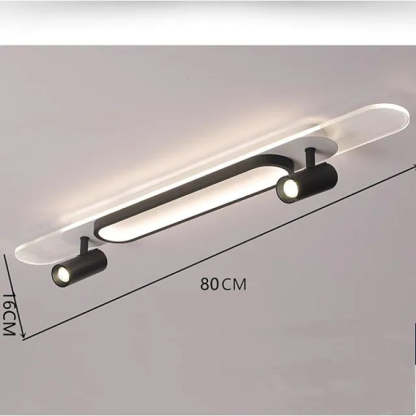 Haney Modern Rectangular LED Metal Acrylic Ceiling Light