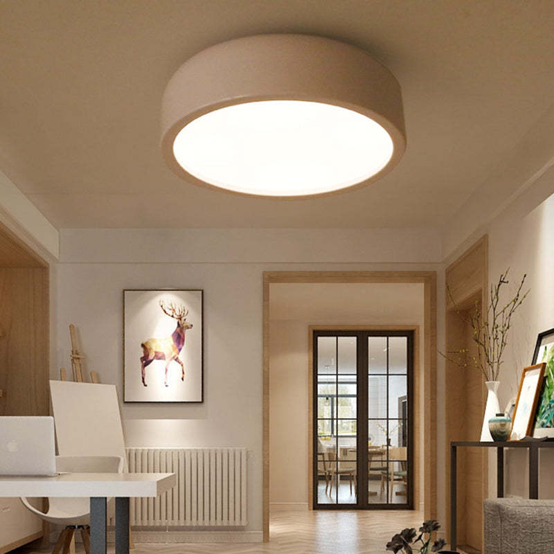 Leilani Modern Ceiling Light in Living Space