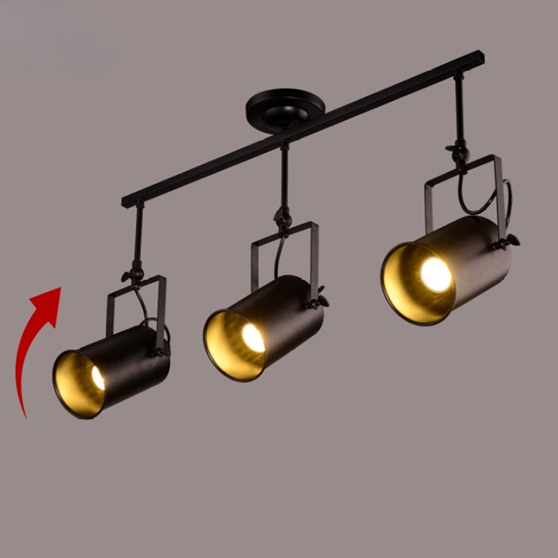 Adjustable Alessio Ceiling Light | Las Sola