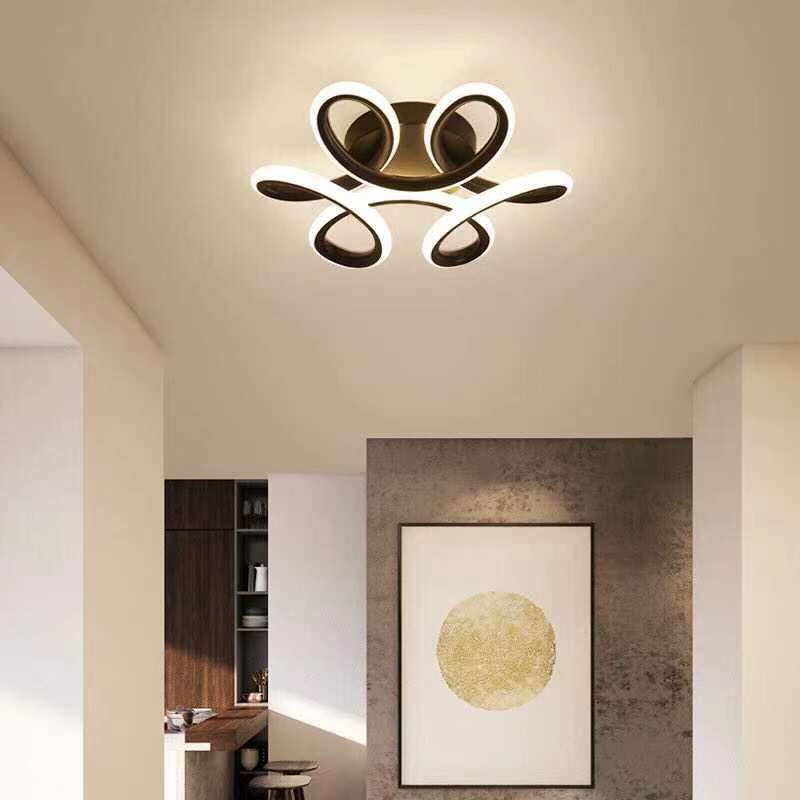Modern hallway with Lacey flower shape ceiling light