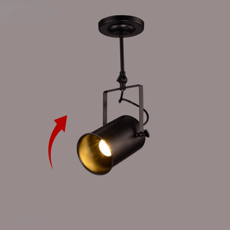 Black Alessio adjustable ceiling light fixture