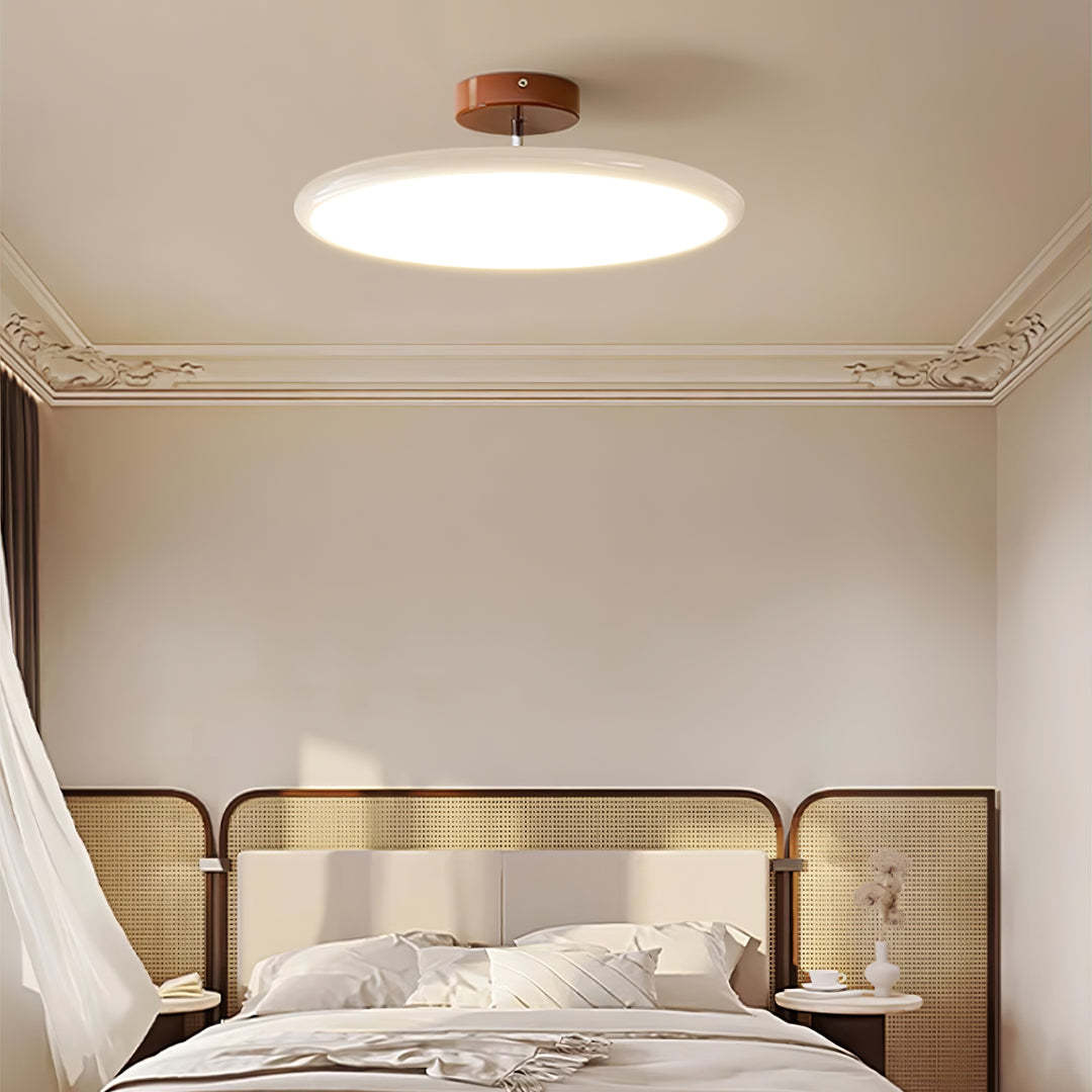 Hailie Minimalism Metal Acrylic Ceiling Light Bedroom Living Room