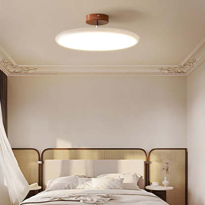 Hailie Minimalism Metal Acrylic Ceiling Light Bedroom Living Room