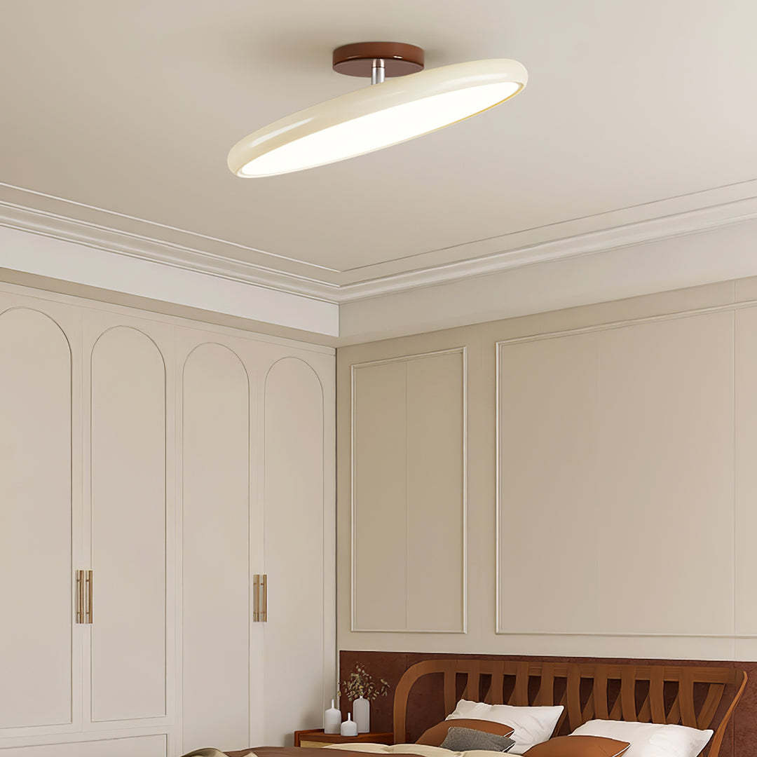 Hailie Minimalism Metal Acrylic Ceiling Light Bedroom Living Room