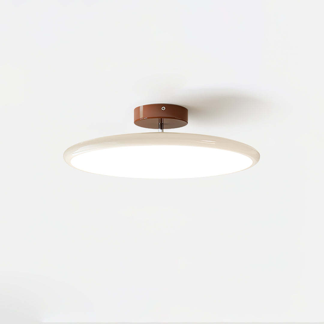 Hailie Minimalism Metal Acrylic Ceiling Light Bedroom Living Room