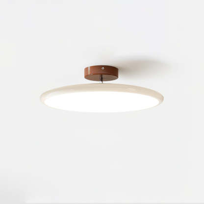 Hailie Minimalism Metal Acrylic Ceiling Light Bedroom Living Room