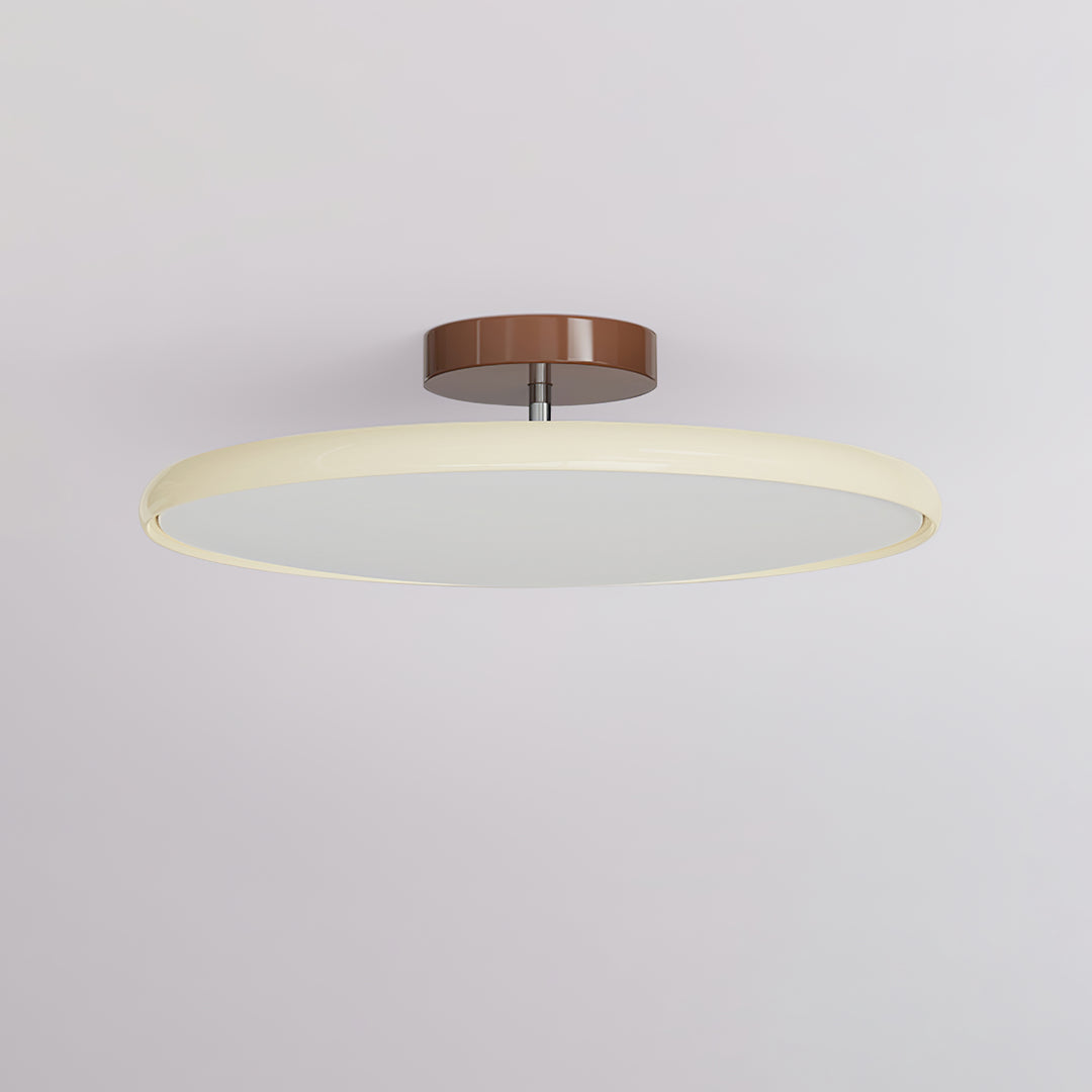 Hailie Minimalism Metal Acrylic Ceiling Light Bedroom Living Room