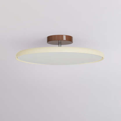 Hailie Minimalism Metal Acrylic Ceiling Light Bedroom Living Room