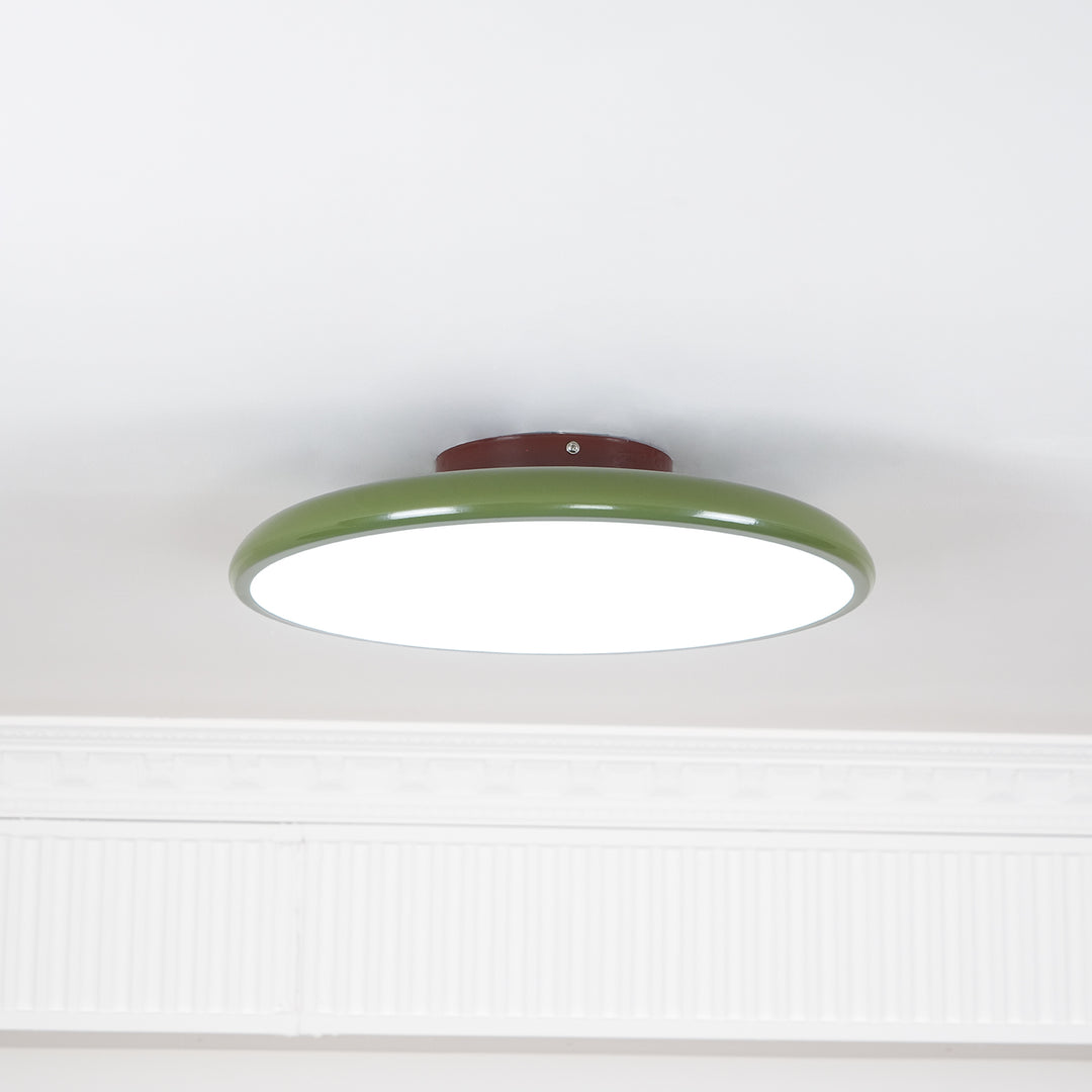 Hailie Minimalism Metal Acrylic Ceiling Light Bedroom Living Room