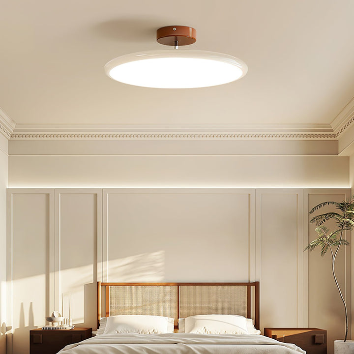 Hailie Minimalism Metal Acrylic Ceiling Light Bedroom Living Room