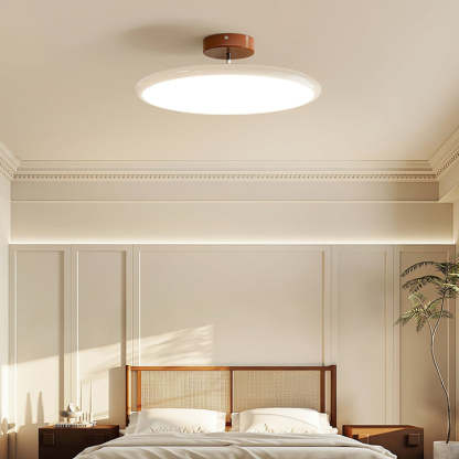 Hailie Minimalism Metal Acrylic Ceiling Light Bedroom Living Room