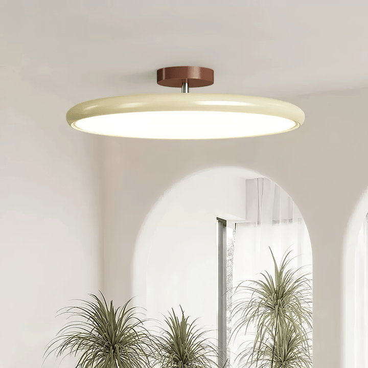 Hailie Minimalism Metal Acrylic Ceiling Light Bedroom Living Room
