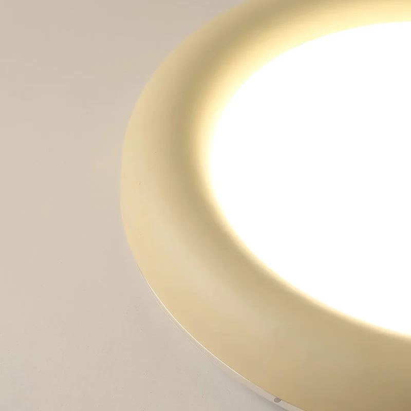 Quinn LED Acrylic Ceiling Light: Ambient Lighting
