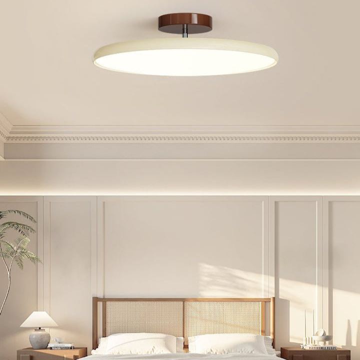 Hailie Minimalism Metal Acrylic Ceiling Light Bedroom Living Room