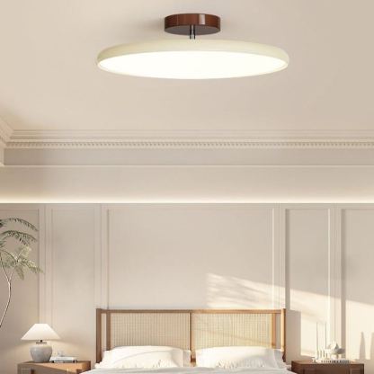 Hailie Minimalism Metal Acrylic Ceiling Light Bedroom Living Room