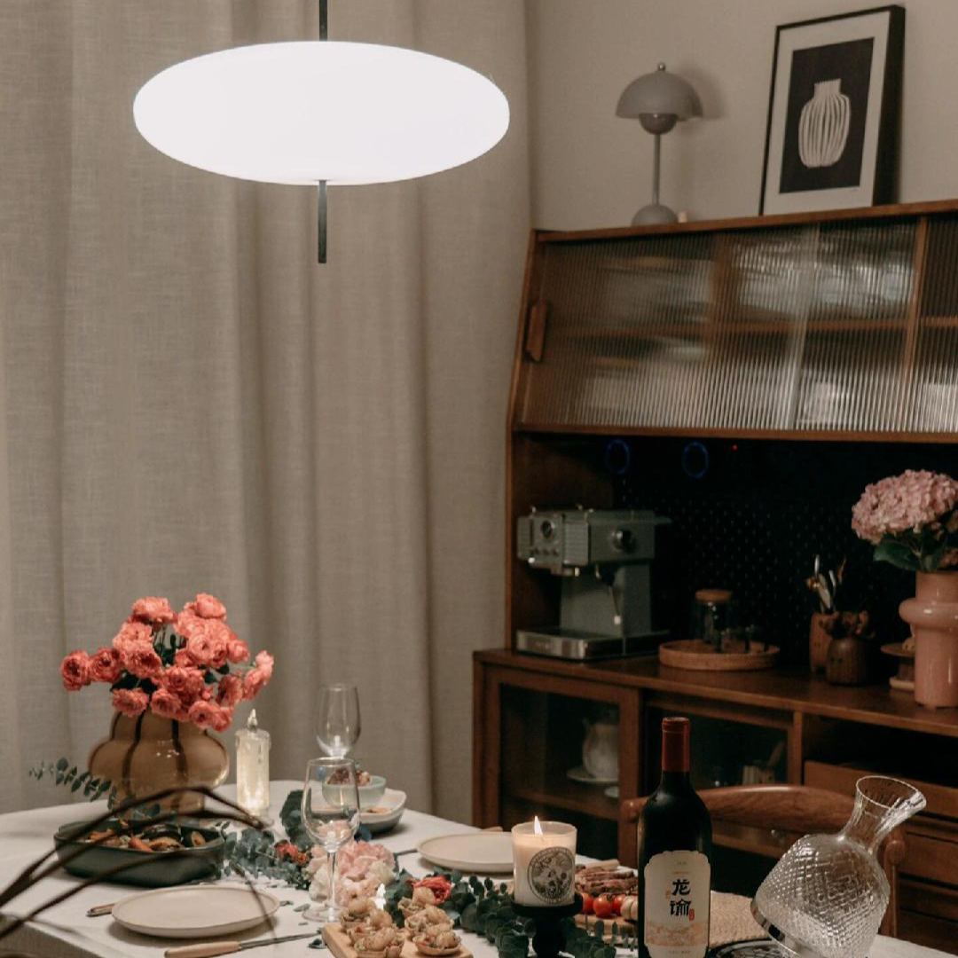 Leilani Nordic Modern Oval Single Pendant Light