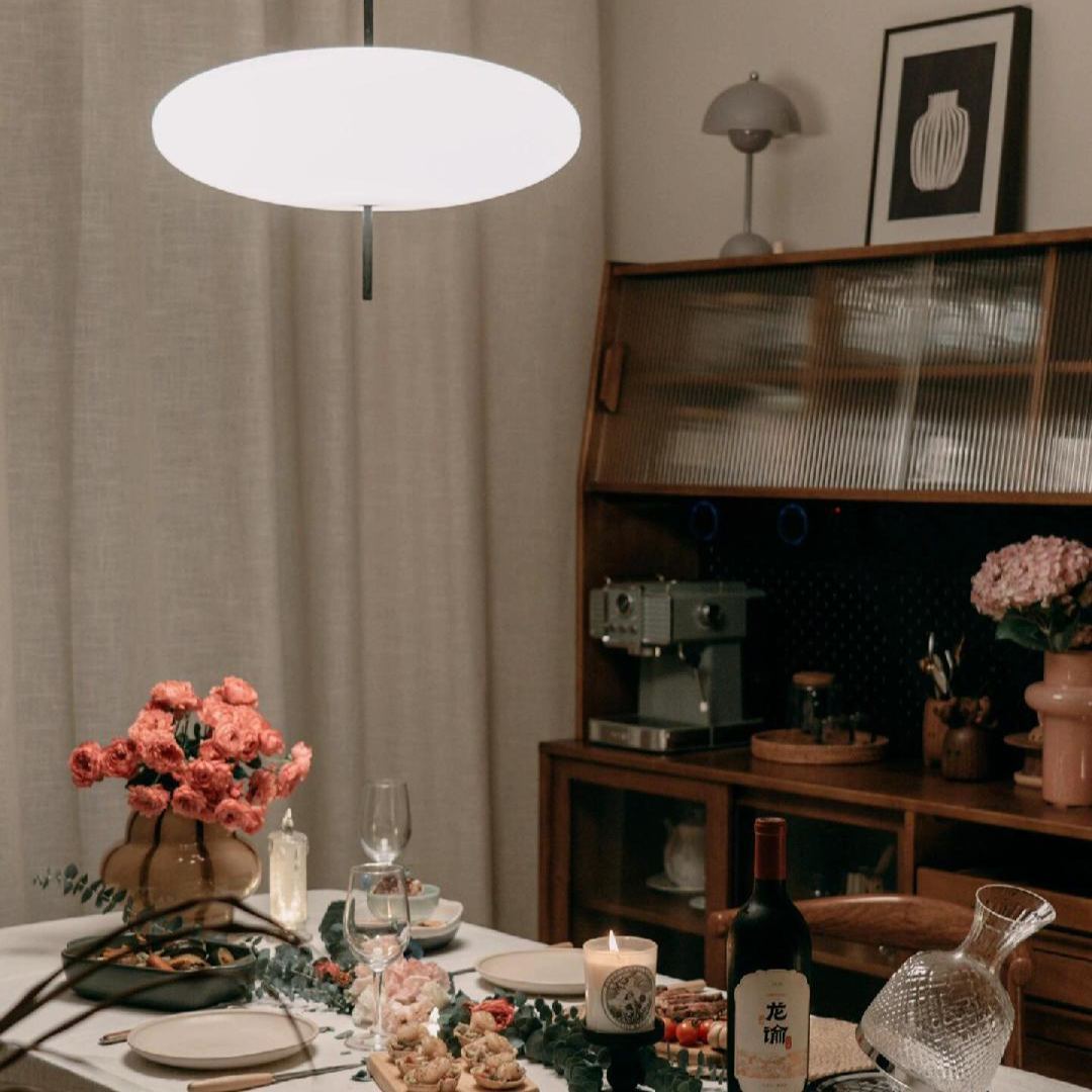 Leilani Nordic Modern Oval Single Pendant Light