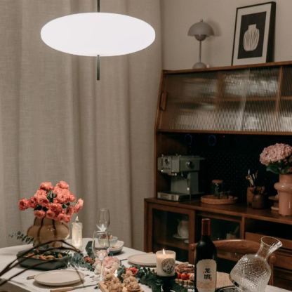 Leilani Nordic Modern Oval Single Pendant Light