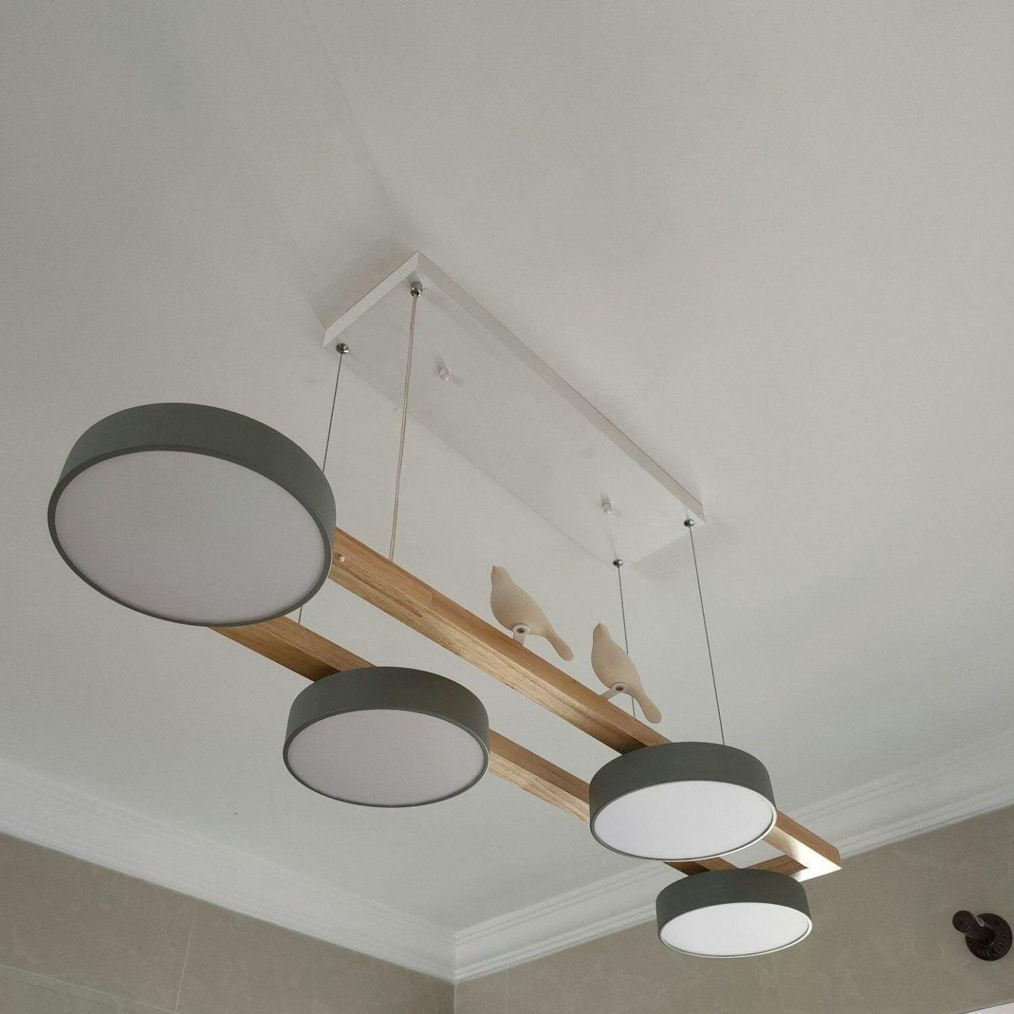 Morandi Modern Metal Wood Resin Acrylic Pendant Light Dining Room Bedroom