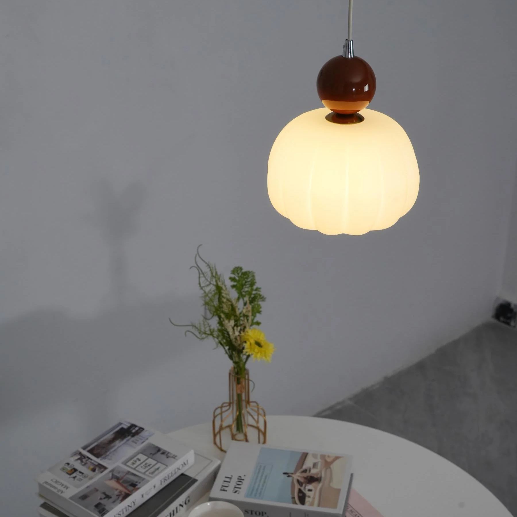 Hailie Modern Round Acrylic Pendant Light Shades Bedroom Dining Room