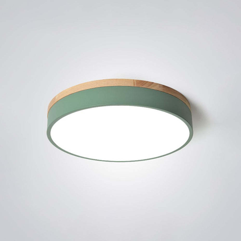 Green Morandi LED Ceiling Light. Round flush mount lighting.