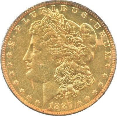 [Complete Set]1878-1902 Morgan Silver Dollar Gold Plated Coin 25 PC