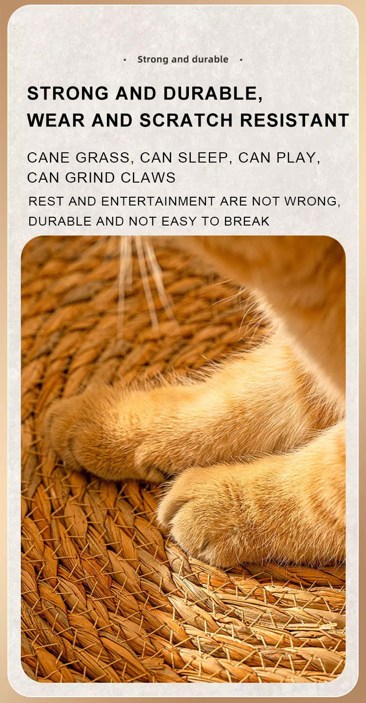 Product details picture