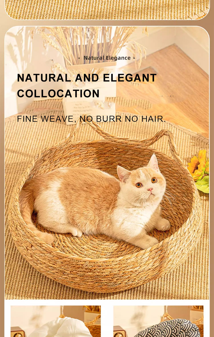 Product details picture